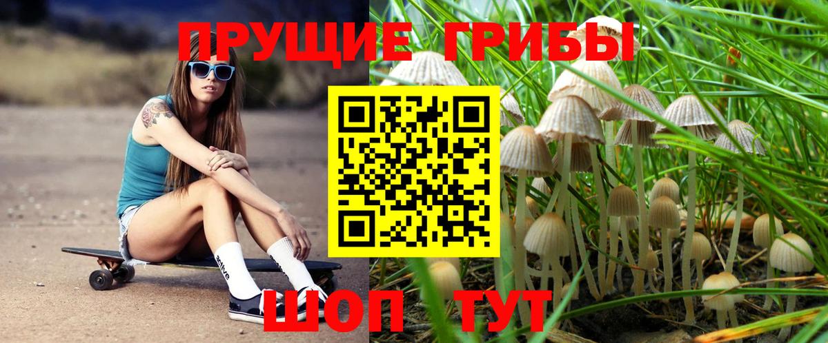 Псилоцибиновые грибы мухоморы  Вход с VPN  Рославль 
